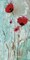 Splash Poppies II Poster Print by Catherine Brink - Item # VARPDX16213